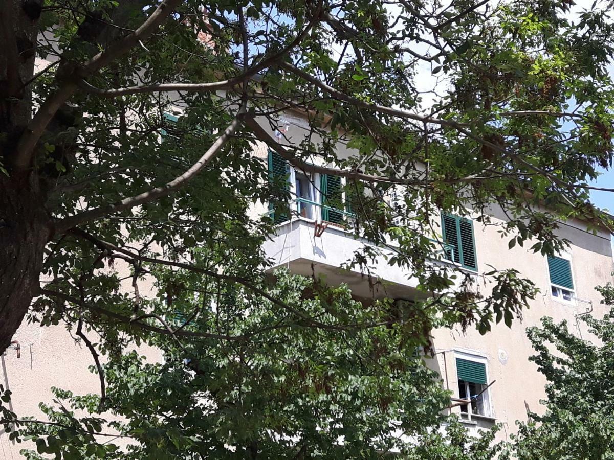 زادار Apartment Sunny Place المظهر الخارجي الصورة